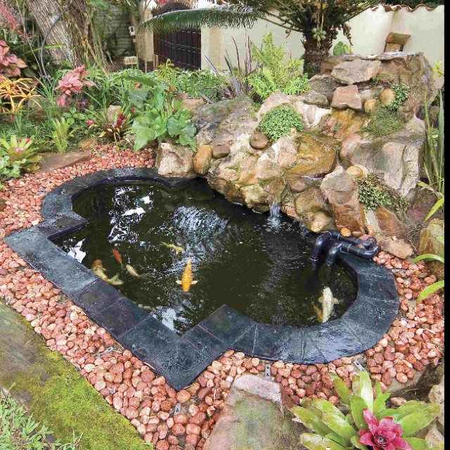 Best ideas about DIY Koi Pond
. Save or Pin DIY koi pond I ve always wanted to make one Now.