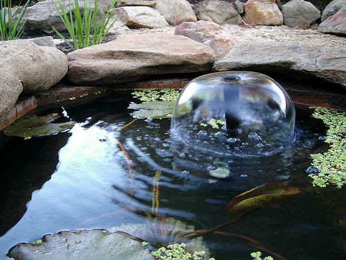 Best ideas about DIY Koi Pond
. Save or Pin How to Build a Fish Pond or Garden Pond 6 Steps Now.