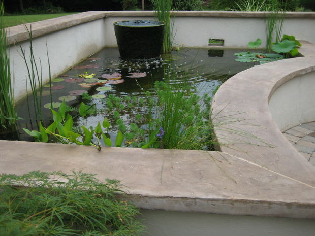 Best ideas about DIY Koi Pond
. Save or Pin Fun With Concrete Now.