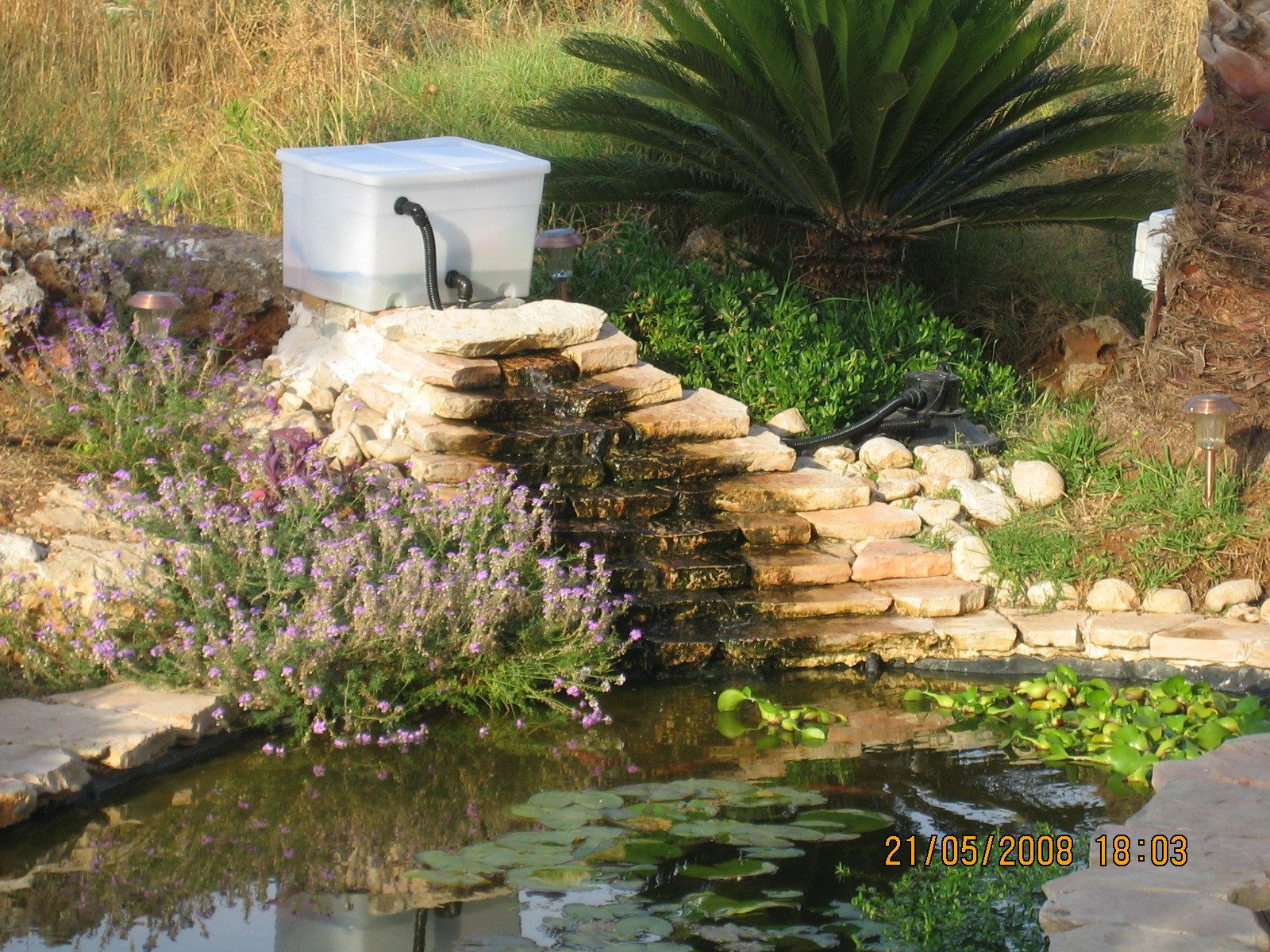 Best ideas about DIY Koi Pond
. Save or Pin DIY How to Build a Gravitational Filter for a Koi Pond Now.