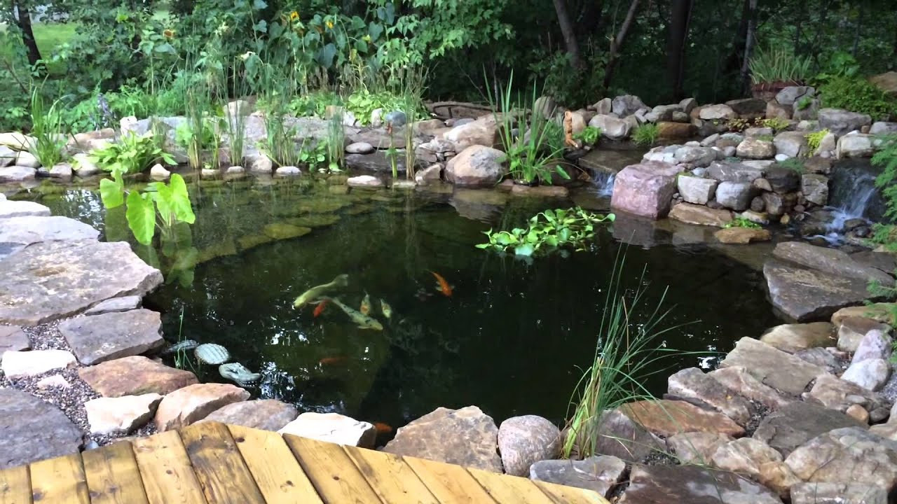 Best ideas about DIY Koi Pond
. Save or Pin DIY Koi Pond HD1080 koi basin bog bio filter UV Now.