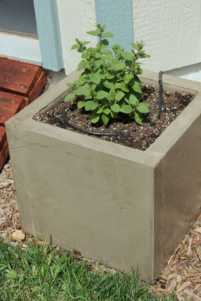Best ideas about DIY Large Concrete Planters
. Save or Pin DIY Modern Minimal Concrete Planter Boxes Now.
