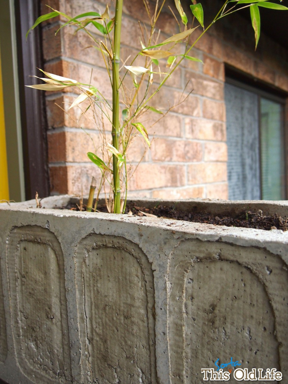 Best ideas about DIY Large Concrete Planters
. Save or Pin A DIY concrete planter–it’s easier than it looks Now.