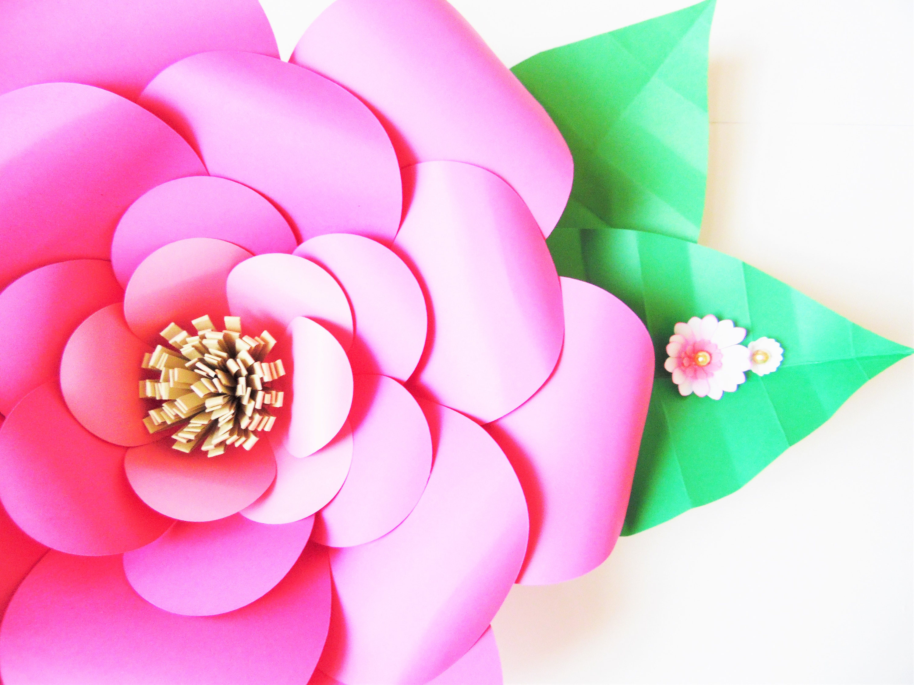 Best ideas about DIY Large Paper Flowers
. Save or Pin Paper flower Templates DIY Giant Paper flowers DIY flower Now.