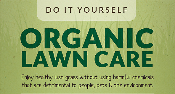 Best ideas about DIY Lawn Care
. Save or Pin Do It Yourself Organic Lawn Care Now.