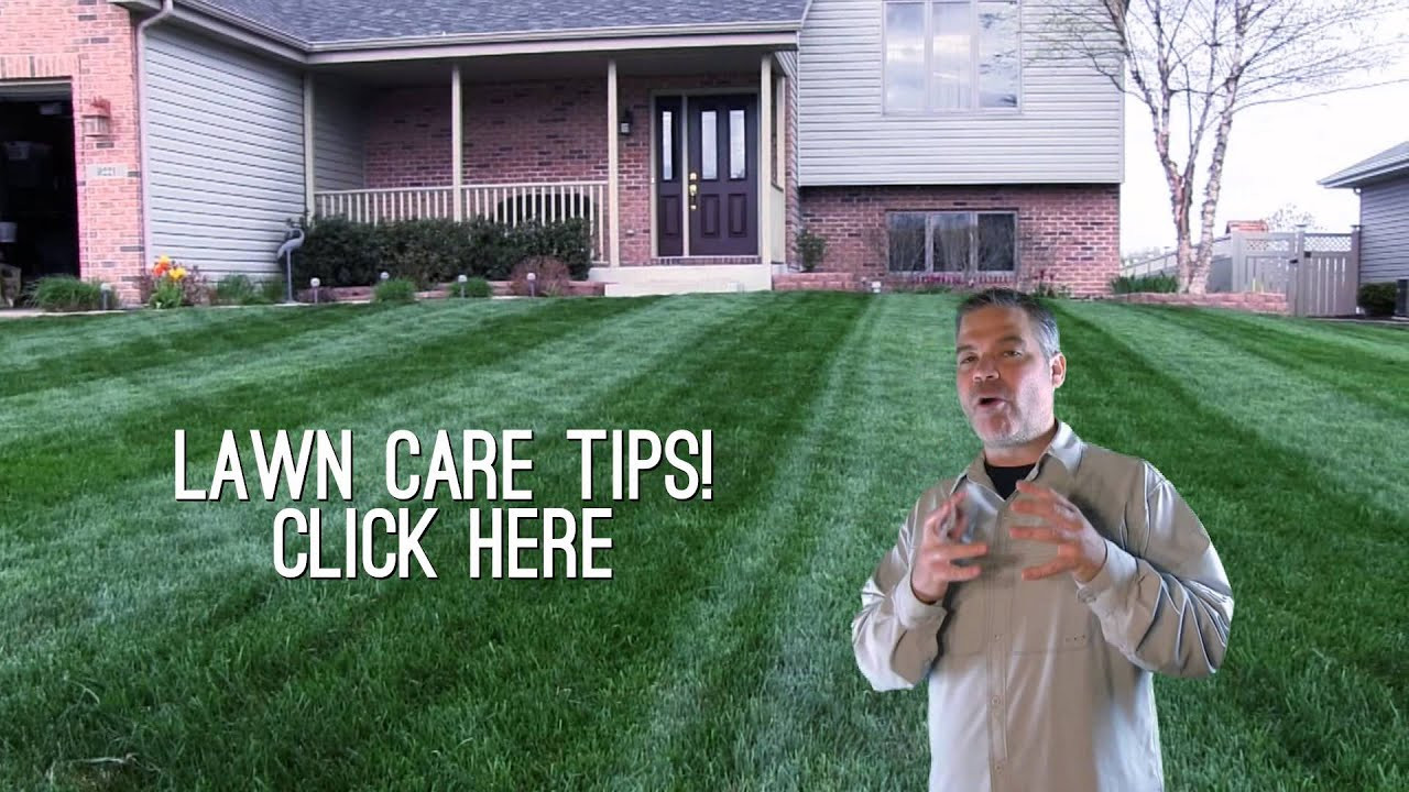 Best ideas about DIY Lawn Care
. Save or Pin Free DIY Lawn Care Tips Subscribe Now.