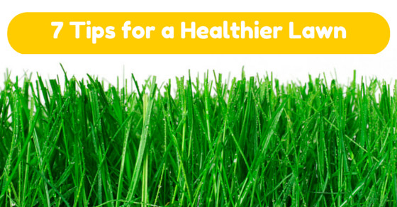 Best ideas about DIY Lawn Care
. Save or Pin DIY Lawn Care 7 Tips for a Healthier Greener Lawn Now.