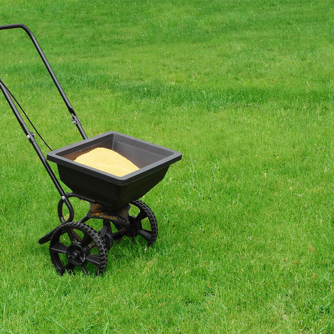 Best ideas about DIY Lawn Care
. Save or Pin Top Five DIY Lawn Care Mistakes Now.