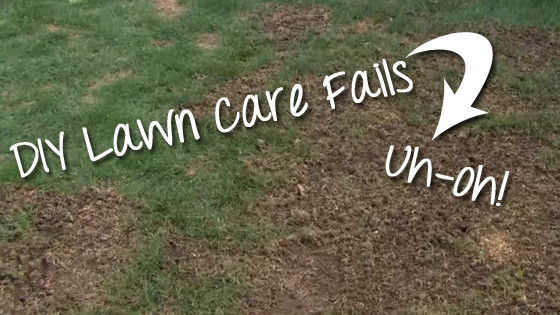 Best ideas about DIY Lawn Care
. Save or Pin Cedar Rapids IA Lawn Care 3 DIY Mistakes and How to Now.