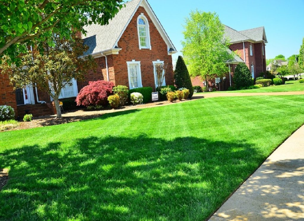 Best ideas about DIY Lawn Care
. Save or Pin 5 DIY Lawn Care Tips to Get a Beautiful Lawn Now.