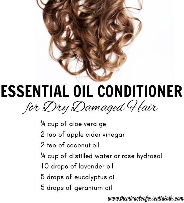 Best ideas about DIY Leave In Conditioner For Damaged Hair
. Save or Pin DIY Essential Oil Conditioner for Dry Damaged Hair The Now.