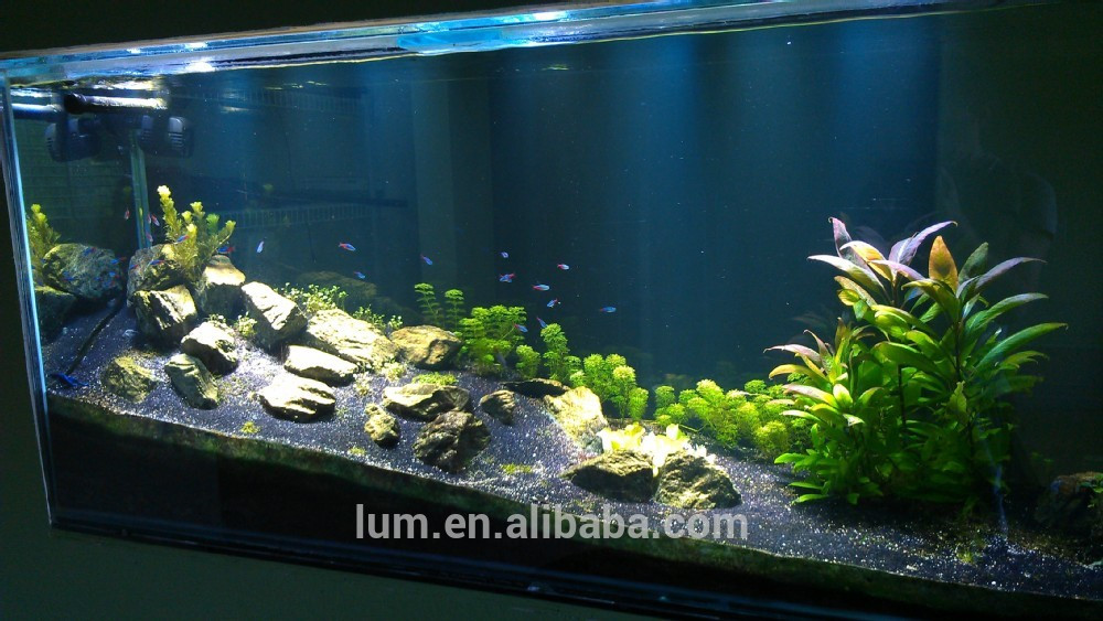 Best ideas about DIY Led Aquarium Light Planted Tank
. Save or Pin Diy Led Aquarium Lighting Planted Tank 1000 Aquarium Ideas Now.