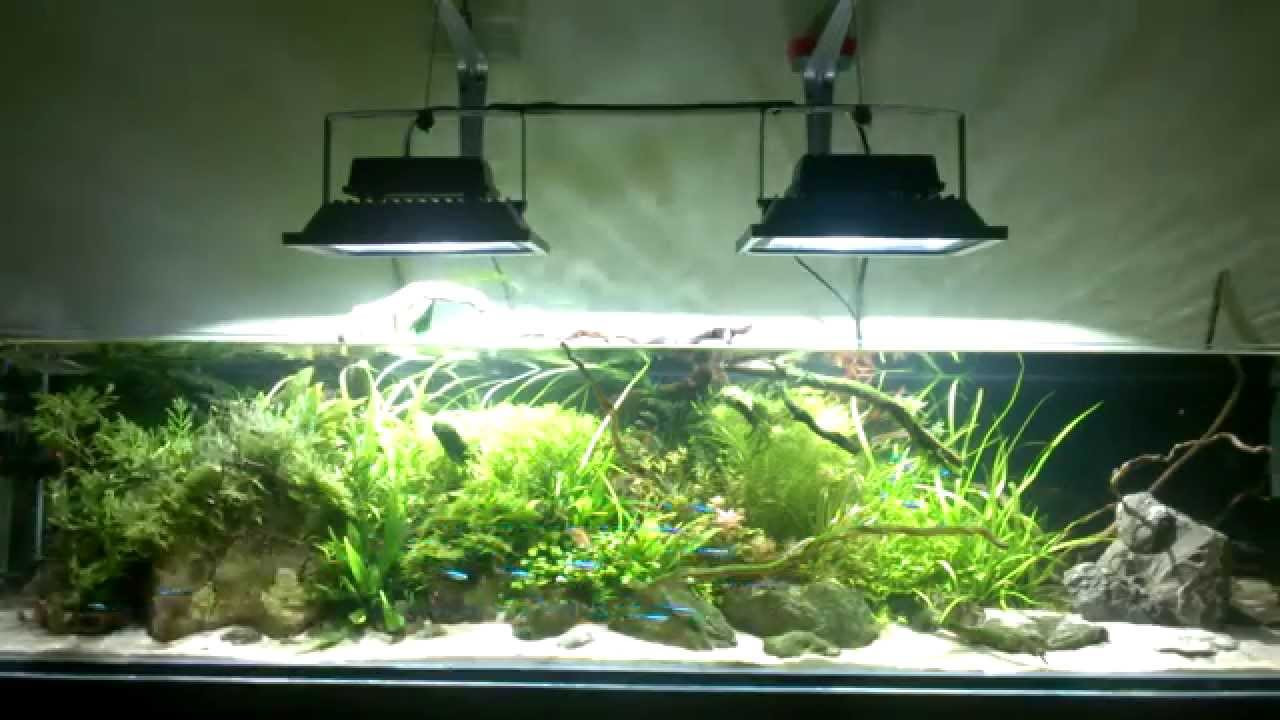 Best ideas about DIY Led Aquarium Light Planted Tank
. Save or Pin DIY Night day LED lighting moon light efekt RGB Now.