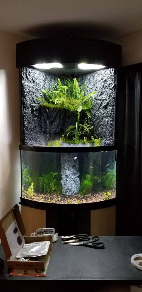 Best ideas about DIY Led Aquarium Light Planted Tank
. Save or Pin Ultimate DIY LED Aquarium Lighting Setup For Cheap Now.