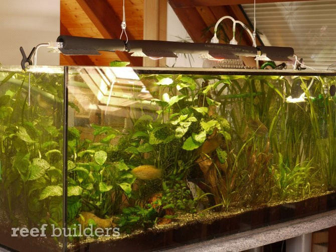 Best ideas about DIY Led Aquarium Light Planted Tank
. Save or Pin Watercooled Aquarium LED light also recaptures heat Now.