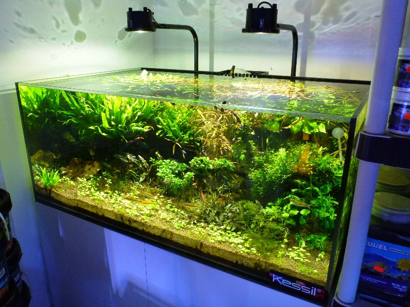 Best ideas about DIY Led Aquarium Light Planted Tank
. Save or Pin Designing DIY LED lighting The Planted Tank Forum Now.