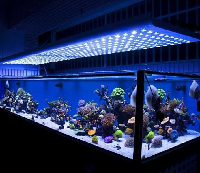 Best ideas about DIY Led Aquarium Lights
. Save or Pin 18 Amazing LED Strip Lighting Ideas For Your Next Project Now.