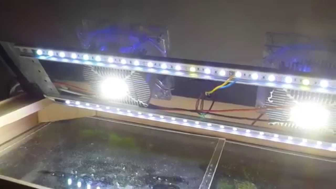 Best ideas about DIY Led Aquarium Lights
. Save or Pin DIY aquarium LED lighting led chip 20W RGB LED Strip Now.