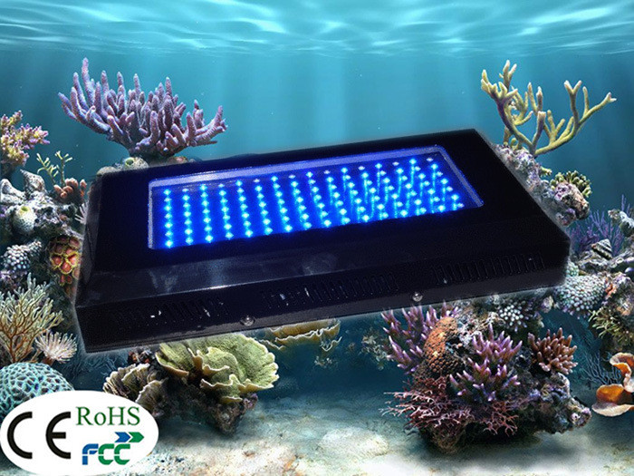 Best ideas about DIY Led Aquarium Lights
. Save or Pin China 120w DIY LED Aquarium Lights with 3 Switches or Now.