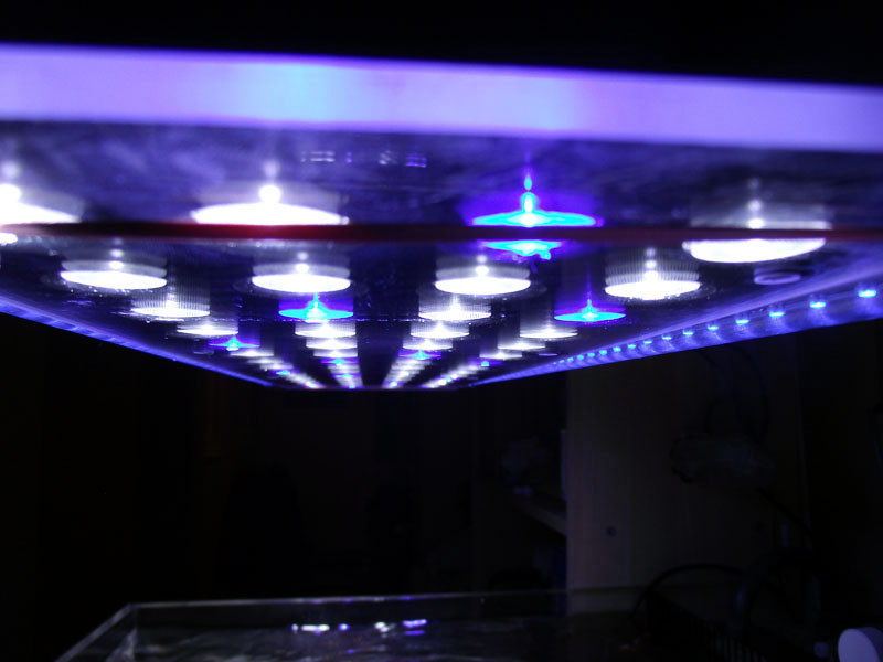 Best ideas about DIY Led Aquarium Lights
. Save or Pin DIY LED Aquarium Lighting 2012 02 26 Now.