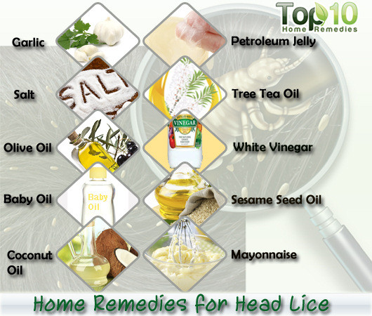 Best ideas about DIY Lice Treatment
. Save or Pin Home Reme s for Head Lice Now.