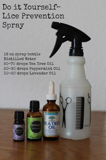 Best ideas about DIY Lice Treatment
. Save or Pin 17 Best ideas about Lice Prevention on Pinterest Now.