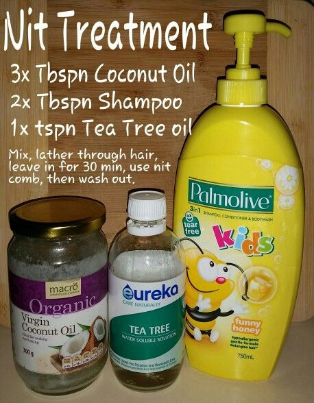 Best ideas about DIY Lice Treatment
. Save or Pin Best 25 Lice prevention ideas on Pinterest Now.