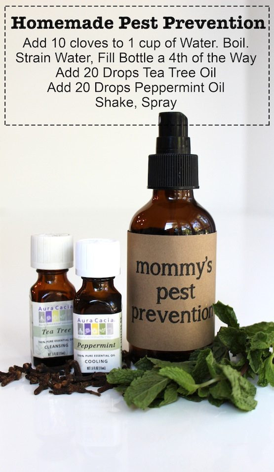 Best ideas about DIY Lice Treatment
. Save or Pin Homemade Pest Prevention Spray The Chic Site Now.