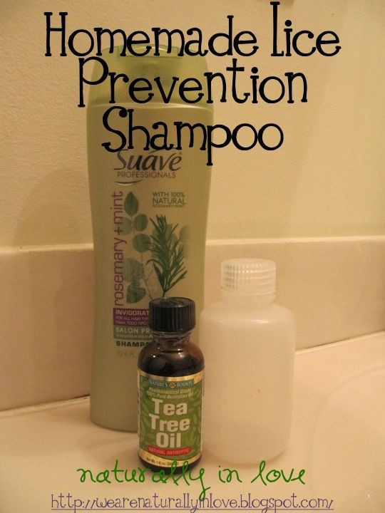 Best ideas about DIY Lice Treatment
. Save or Pin Pinner says Homemade Lice Prevention Shampoo for children Now.