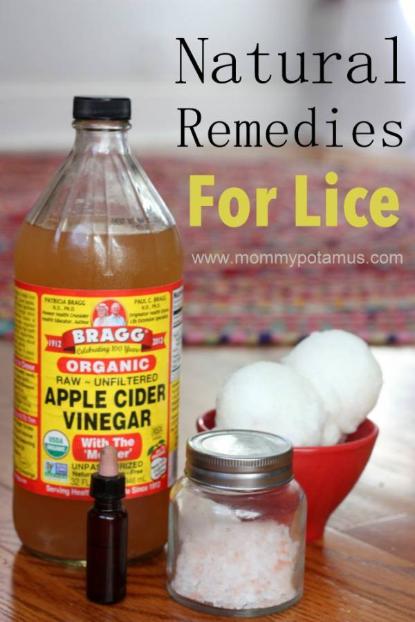 Best ideas about DIY Lice Treatment
. Save or Pin You Wont Believe How Easy This Head Lice Treatment Is Now.