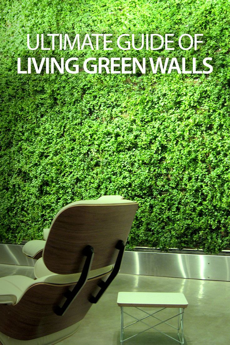 Best ideas about DIY Living Walls
. Save or Pin Best 25 Indoor vertical gardens ideas on Pinterest Now.