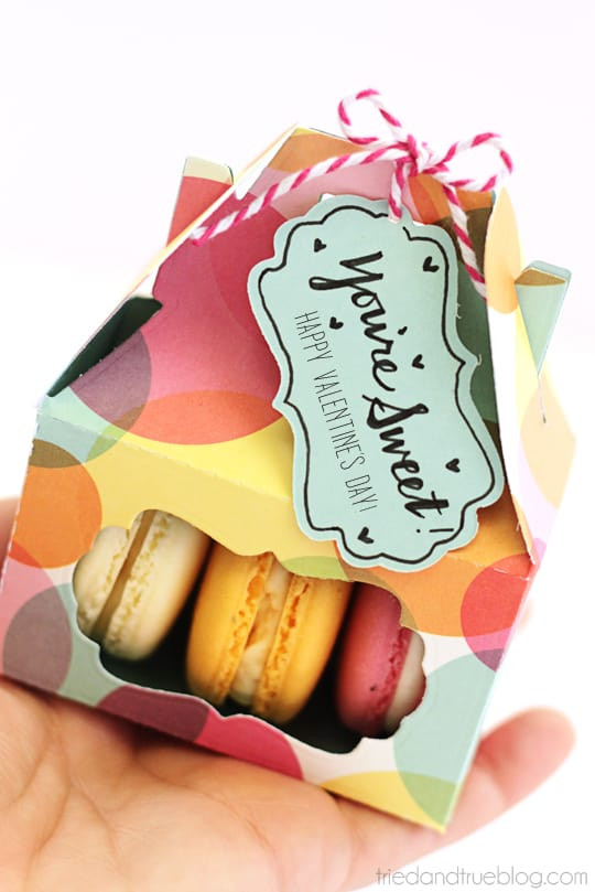 Best ideas about DIY Macaron Box
. Save or Pin Valentine s Day Macaron Gift Box Tried & True Now.