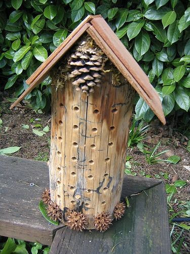 Best ideas about DIY Mason Bee House
. Save or Pin 25 best ideas about Bee House on Pinterest Now.