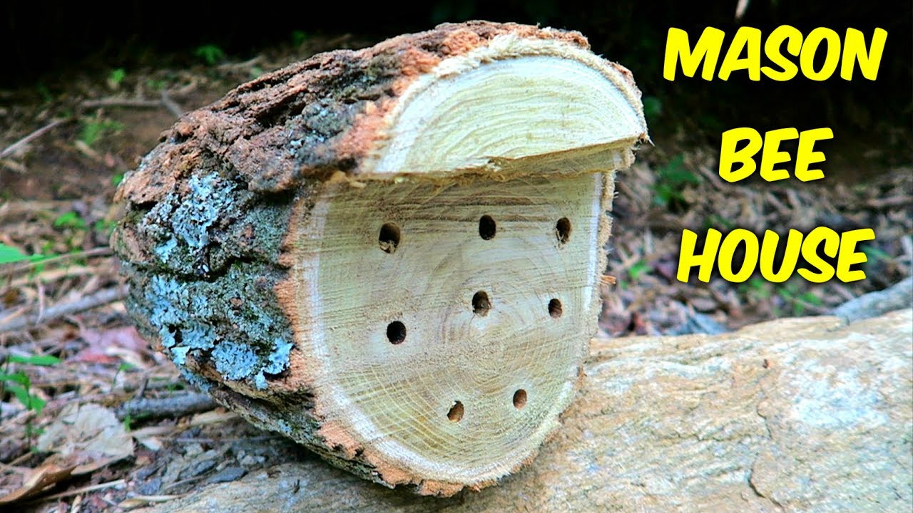Best ideas about DIY Mason Bee House
. Save or Pin DIY Mason Bee House Now.