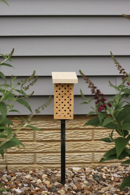 Best ideas about DIY Mason Bee House
. Save or Pin DIY Mason Bee Homes Now.
