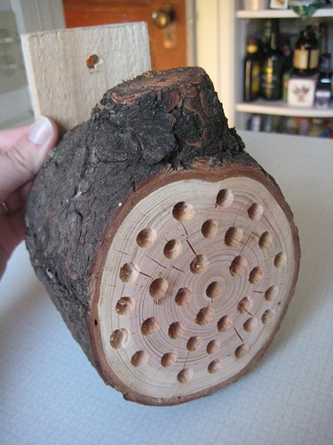 Best ideas about DIY Mason Bee House
. Save or Pin Mason Bee House • Steamy Kitchen Recipes Now.