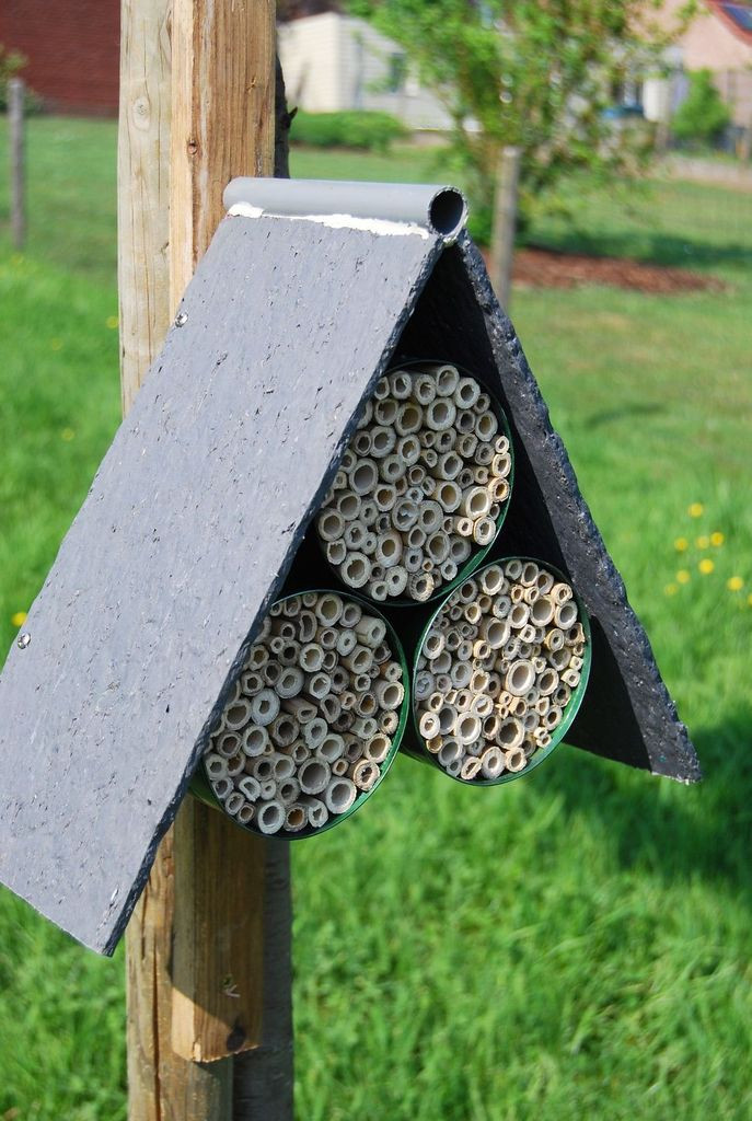 Best ideas about DIY Mason Bee House
. Save or Pin Tin Can Bee Hotel petdiys Now.