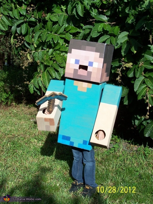 Best ideas about DIY Minecraft Steve Costume
. Save or Pin DIY Cardboard Box Costumes Now.