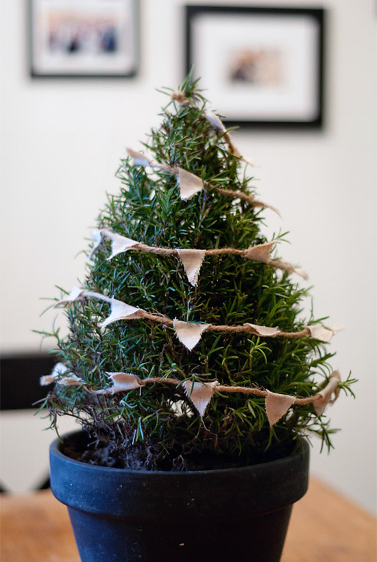 Best ideas about DIY Mini Christmas Trees
. Save or Pin 3 real mini Christmas trees diys Now.