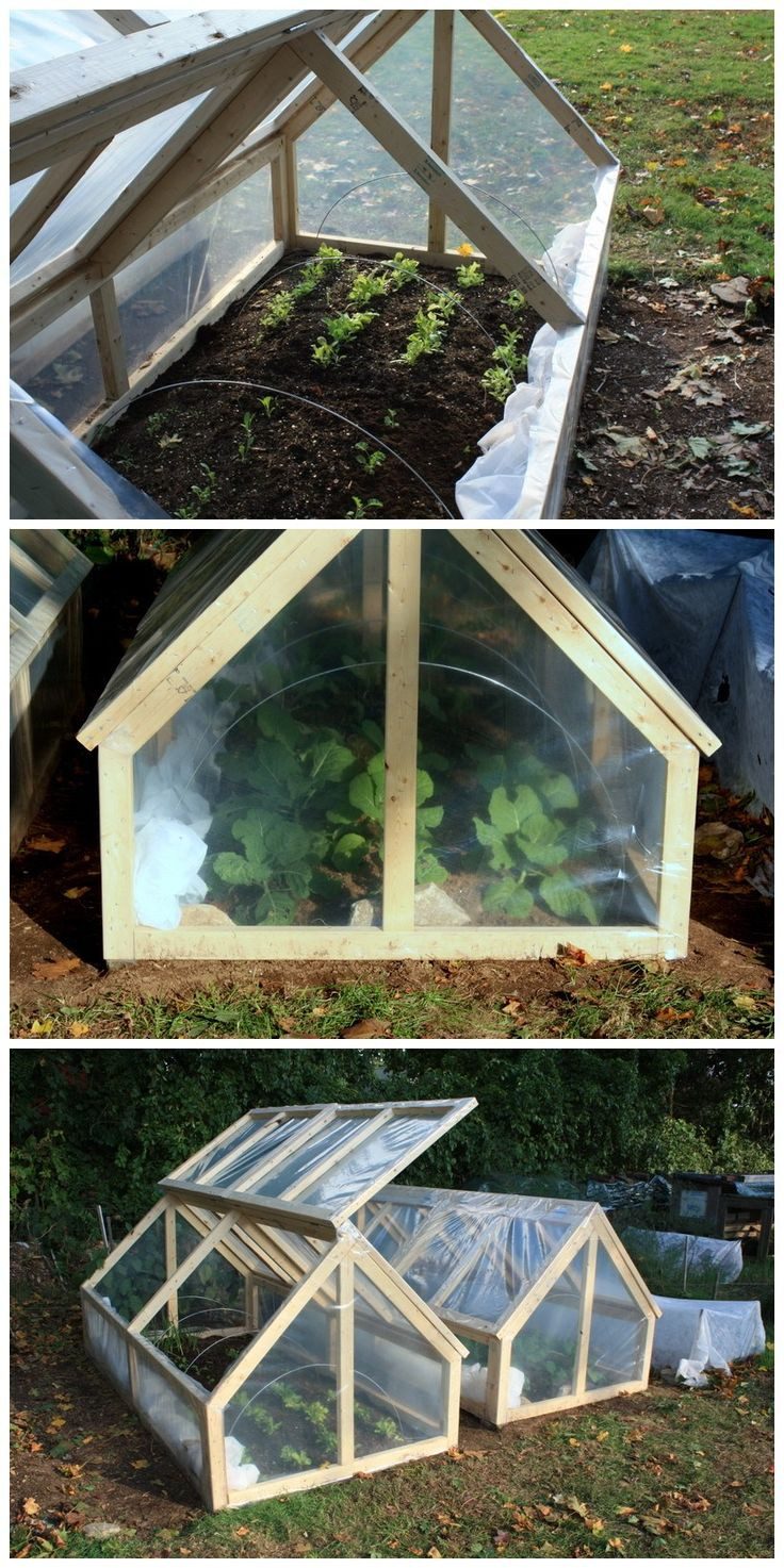 Best ideas about DIY Mini Greenhouses
. Save or Pin 25 best ideas about Mini Greenhouse on Pinterest Now.