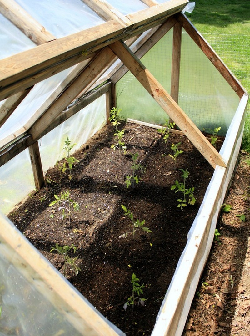 Best ideas about DIY Mini Greenhouses
. Save or Pin Extend Your Garden’s Growing Season DIY Mini greenhouse Now.