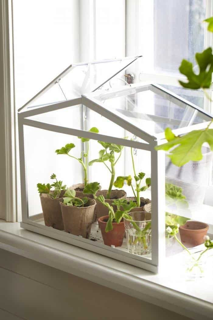 Best ideas about DIY Mini Greenhouses
. Save or Pin Greenhouse Kits Mini Small DIY Greenhouses Now.