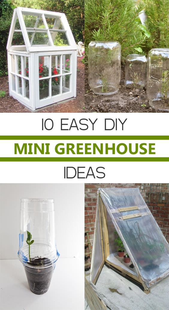 Best ideas about DIY Miniature Greenhouse
. Save or Pin 10 Easy DIY Mini Greenhouse Ideas Gardening Viral Now.