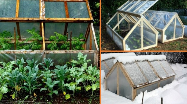 Best ideas about DIY Miniature Greenhouse
. Save or Pin Extend Your Garden’s Growing Season DIY Mini greenhouse Now.