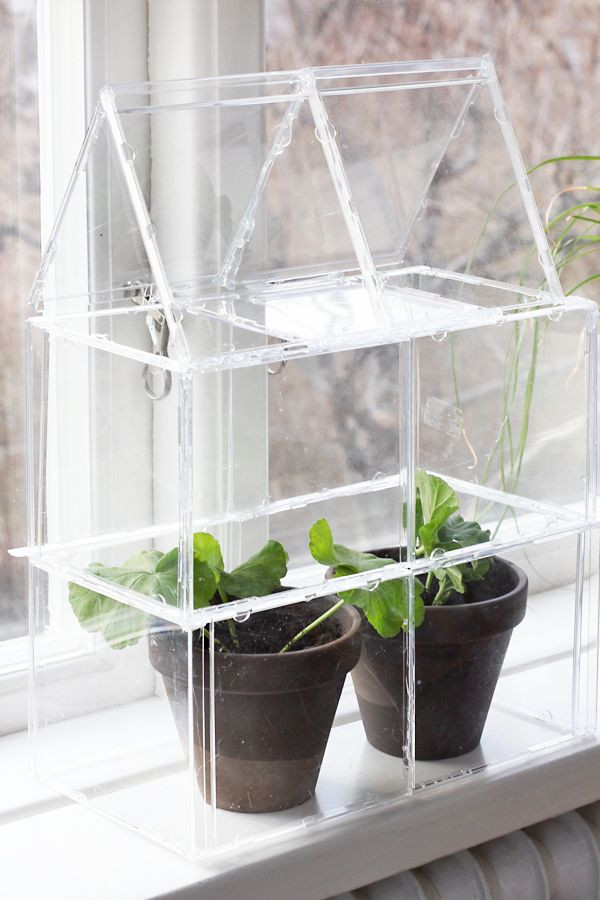 Best ideas about DIY Miniature Greenhouse
. Save or Pin Adorable DIY mini greenhouse for the window sill made Now.