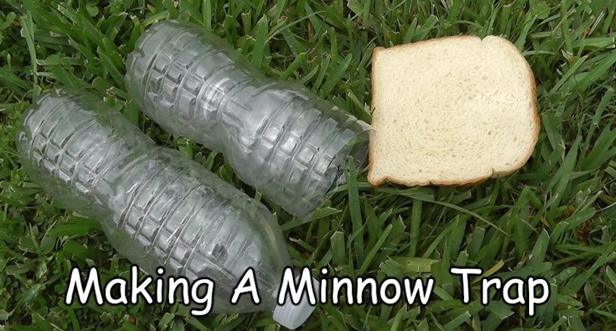 Best ideas about DIY Minnow Trap
. Save or Pin Learn How to Make a Minnow Trap Now.