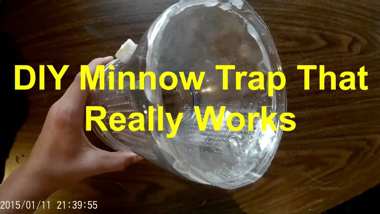 Best ideas about DIY Minnow Trap
. Save or Pin DIY Minnow Trap That Really Works Now.