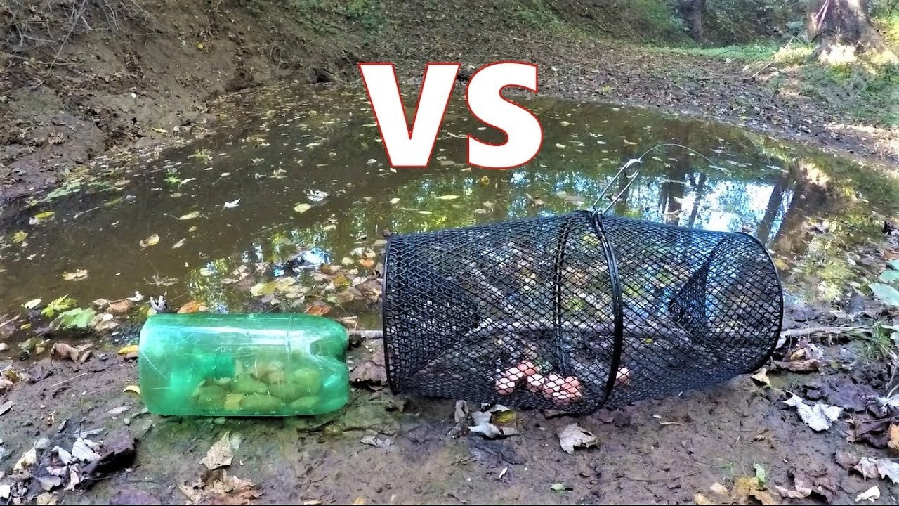 Best ideas about DIY Minnow Trap
. Save or Pin Homemade VS Walmart MINNOW TRAP which catches more Now.