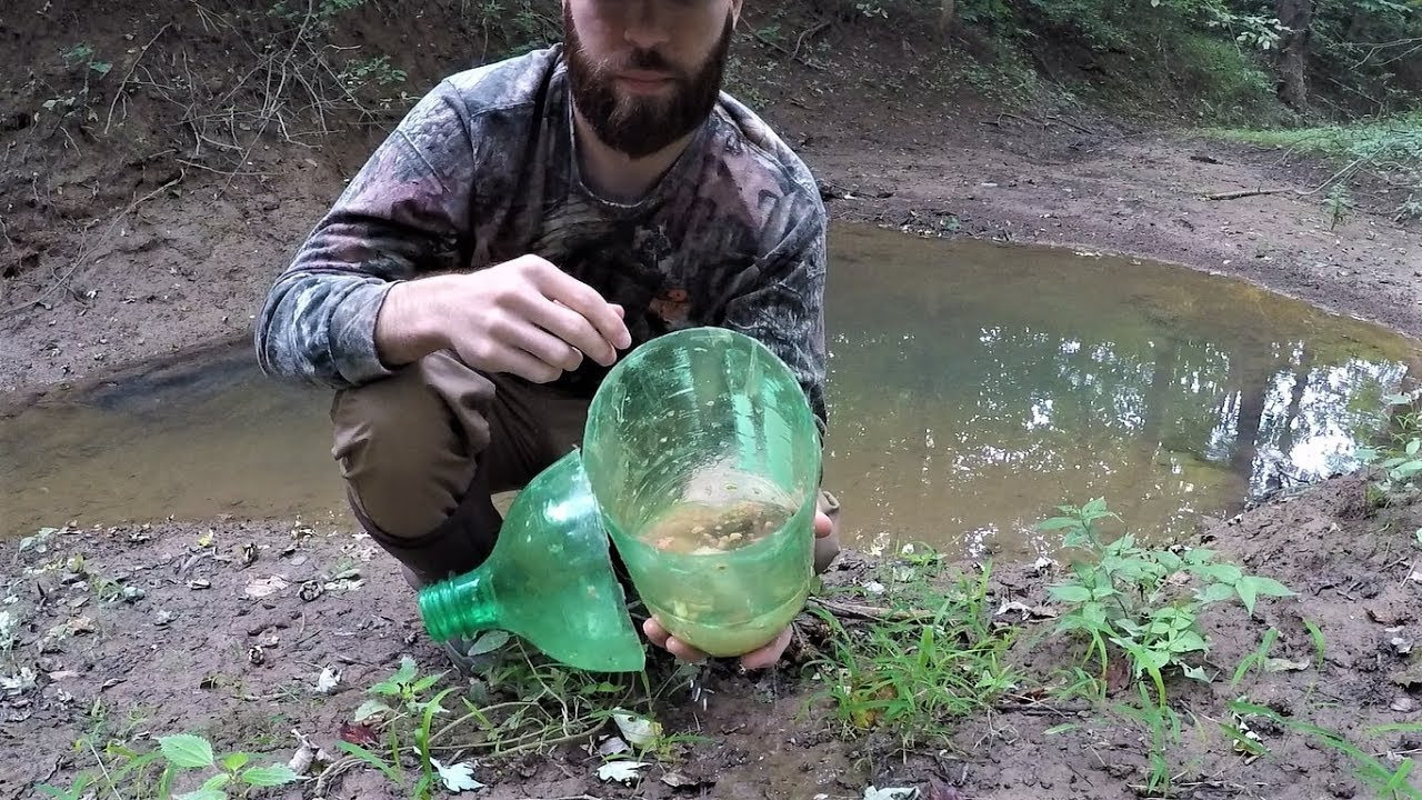 Best ideas about DIY Minnow Trap
. Save or Pin Homemade DIY Minnow Trap Minnow Trapping in TINY CREEK Now.