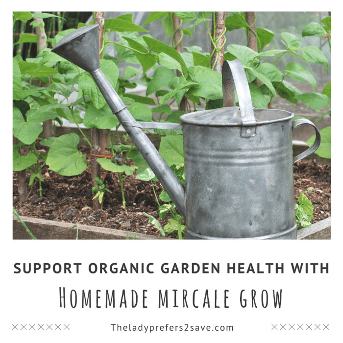 Best ideas about DIY Miracle Grow
. Save or Pin How to make Homemade Miracle Grow Now.